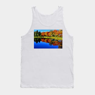 Autumn Foliage at St. James Tank Top